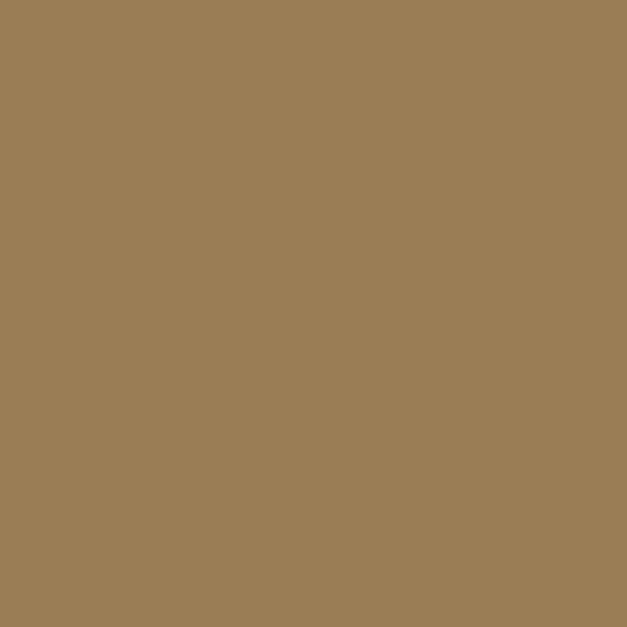 Vinilo Color Sahara